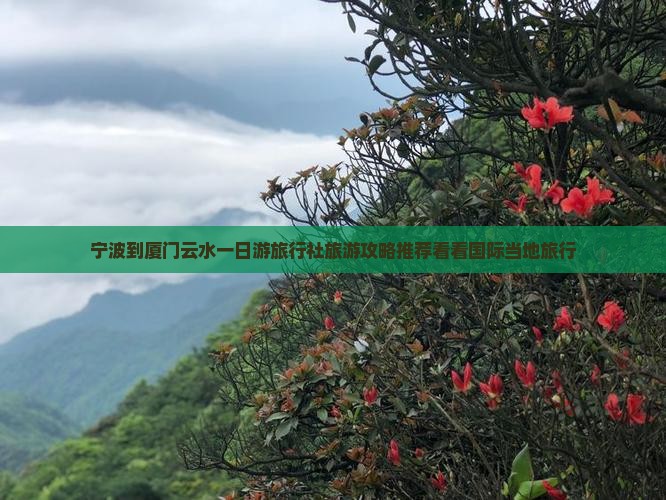 宁波到厦门云水一日游旅行社旅游攻略推荐看看国际当地旅行