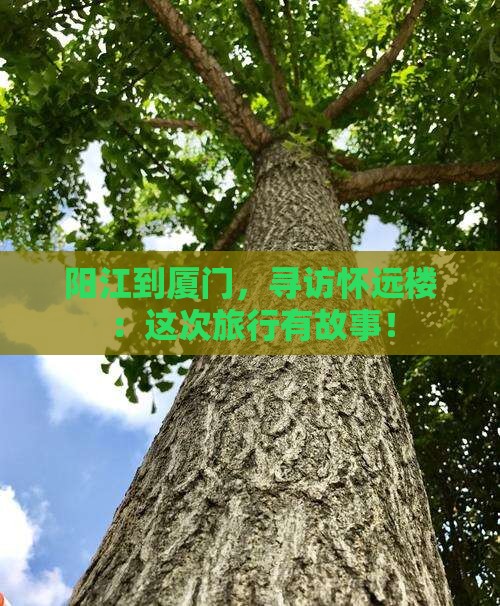 阳江到厦门，寻访怀远楼：这次旅行有故事！