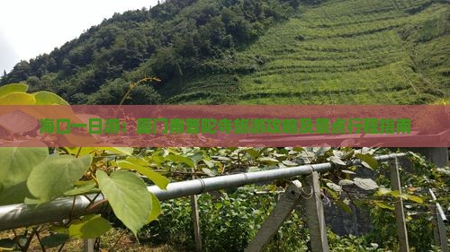 海口一日游：厦门南普陀寺旅游攻略及景点行程指南