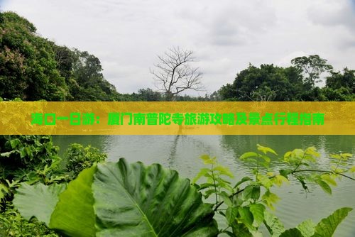 海口一日游：厦门南普陀寺旅游攻略及景点行程指南
