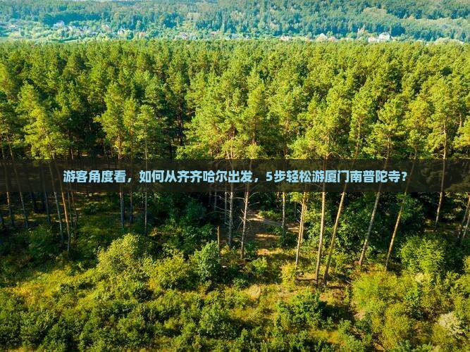 游客角度看，如何从齐齐哈尔出发，5步轻松游厦门南普陀寺？