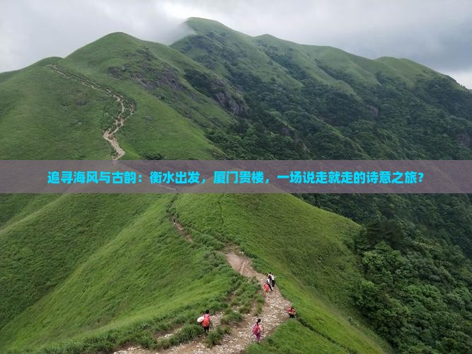 追寻海风与古韵：衡水出发，厦门贵楼，一场说走就走的诗意之旅？