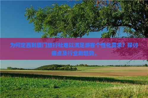 为何定西到厦门旅行社难以满足游客个性化需求？探讨痛点及行业新趋势。