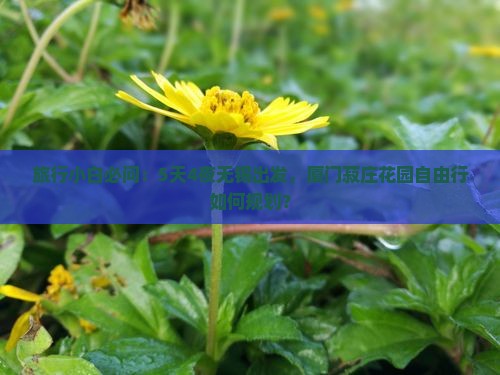 旅行小白必问：5天4夜无锡出发，厦门菽庄花园自由行如何规划？