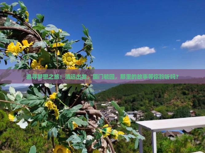 追寻梦想之旅：清远出发，厦门毓园，那里的故事等你聆听吗？