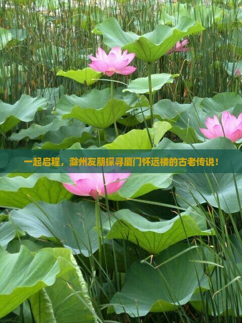 一起启程，滁州友朋探寻厦门怀远楼的古老传说！