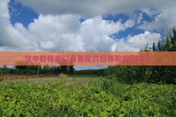 汉中启程厦门南普陀六日普陀朝圣之旅