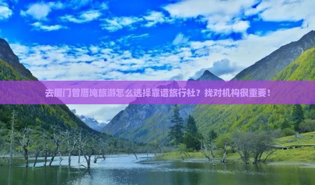 去厦门曾厝埯旅游怎么选择靠谱旅行社？找对机构很重要！