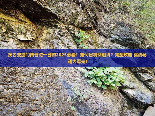 茂名去厦门南普陀一日