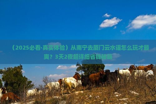 南宁去厦门云水谣景点