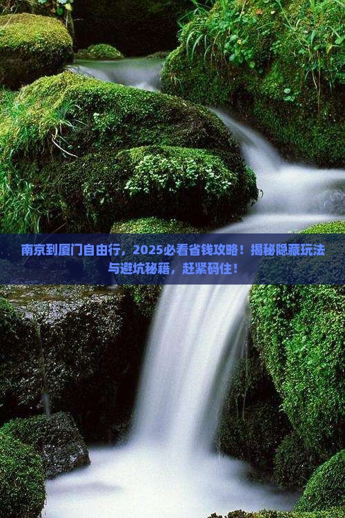 南京到厦门自由团