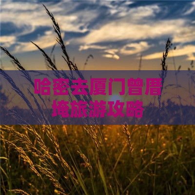 哈密去厦门曾厝埯旅行社