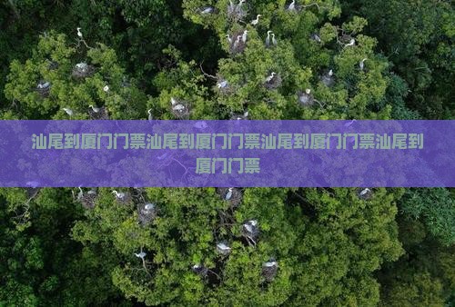 汕尾到厦门门票