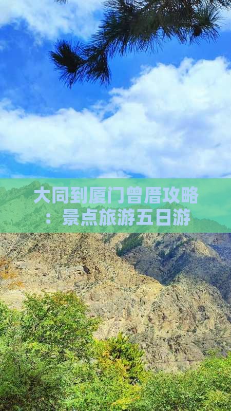 大同到厦门曾厝埯五日游