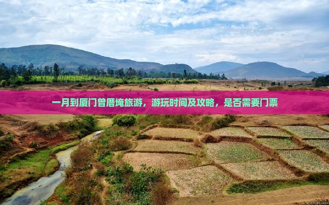 一月到厦门曾厝埯旅游