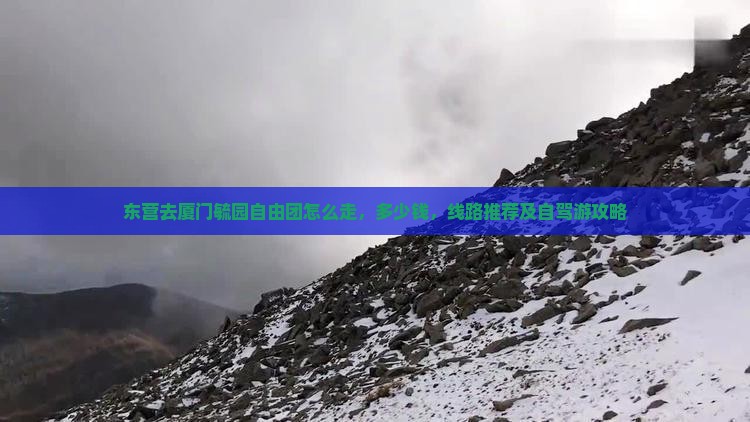 东营去厦门毓园自由团