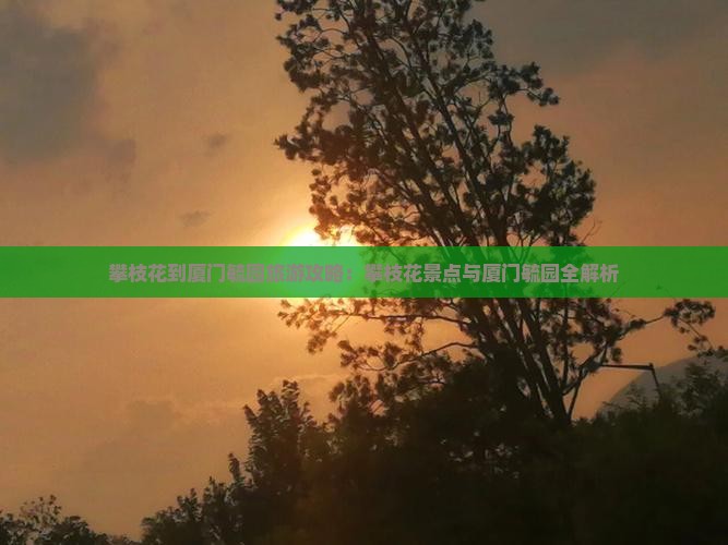 攀枝花到厦门毓园旅行社 攀枝花到厦门毓园旅行社