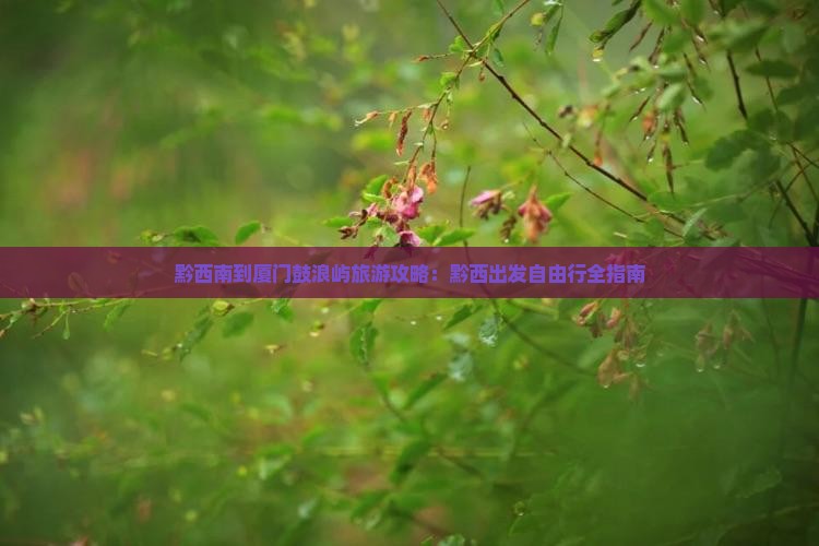 黔西南去厦门鼓浪屿自由行