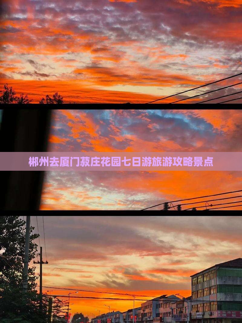 郴州去厦门菽庄花园七日游