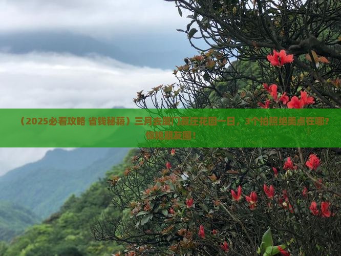 三月去厦门菽庄花园一日