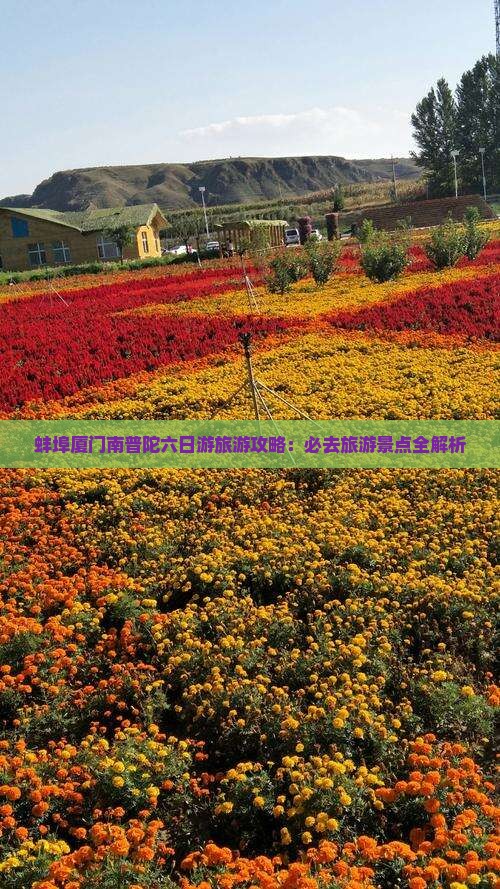 蚌埠到厦门南普陀六日游