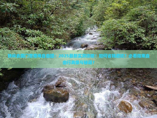 铁岭去厦门曾厝埯自由团