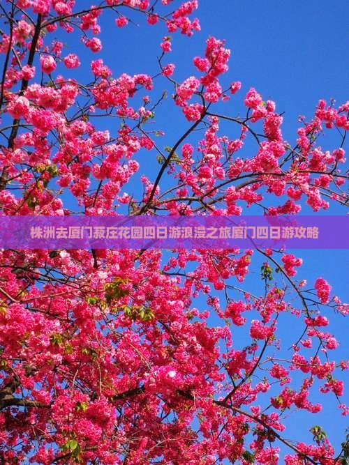 株洲去厦门菽庄花园四日游