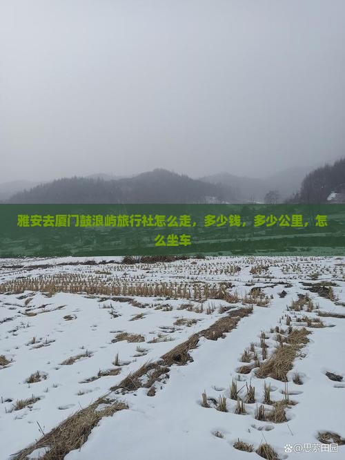 雅安去厦门鼓浪屿旅行社