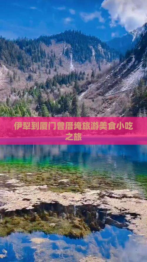 伊犁去厦门曾厝埯旅游小吃