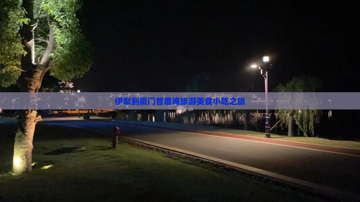 伊犁去厦门曾厝埯旅游小吃