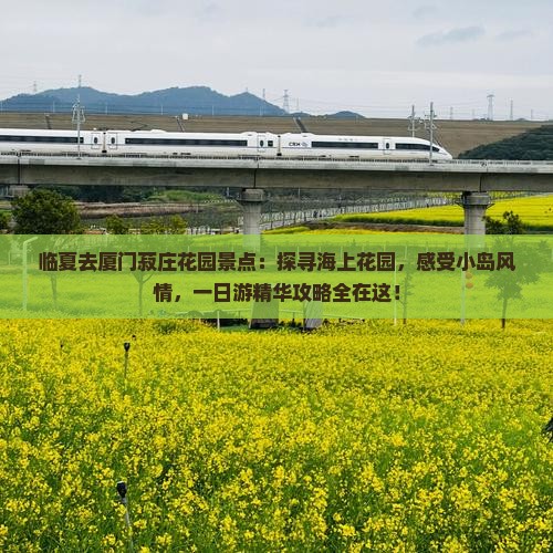 临夏去厦门菽庄花园景点 临夏去厦门菽庄花园景点