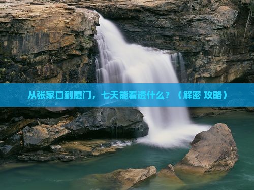 张家口去厦门七日游