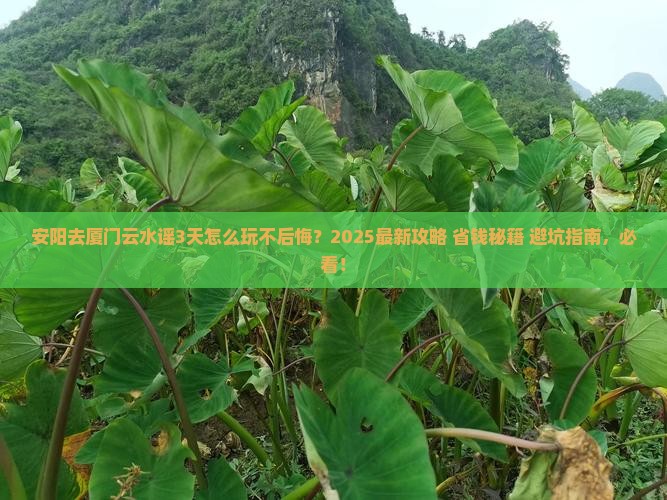 安阳去厦门云水谣哪里玩