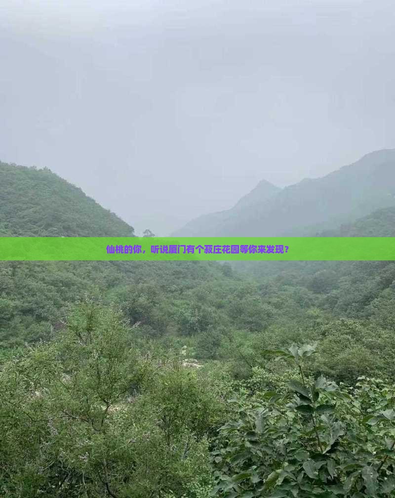 仙桃的你，听说厦门有个菽庄花园等你来发现？