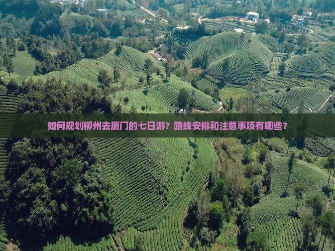 如何规划柳州去厦门的七日游？路线安排和注意事项有哪些？