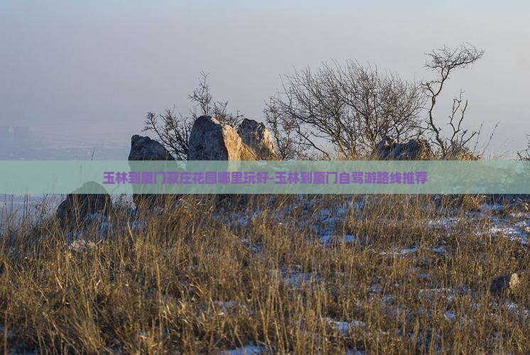 玉林到厦门菽庄花园哪里玩好-玉林到厦门自驾游路线推荐