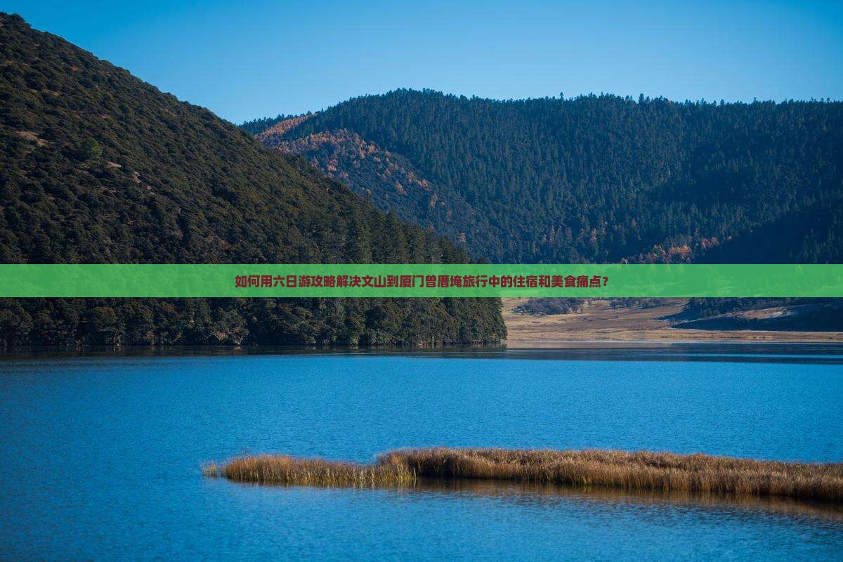 如何用六日游攻略解决文山到厦门曾厝埯旅行中的住宿和美食痛点？