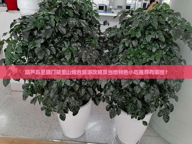 葫芦岛至厦门胡里山炮台旅游攻略及当地特色小吃推荐有哪些？
