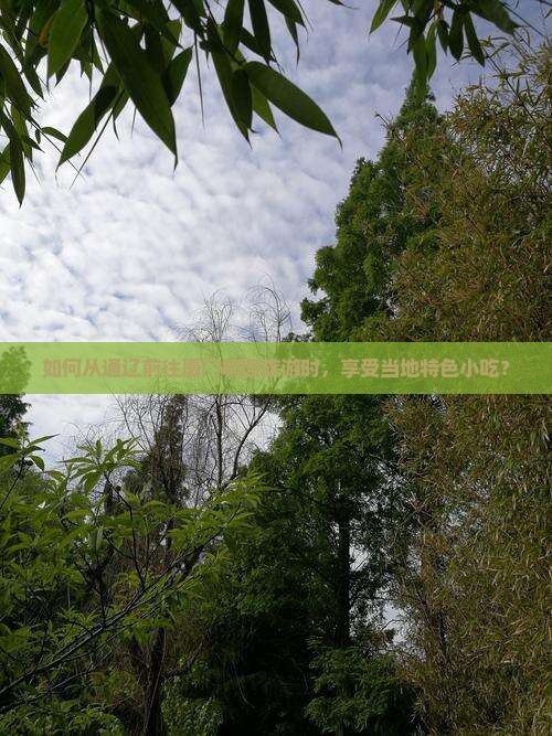 如何从通辽前往厦门毓园旅游时，享受当地特色小吃？