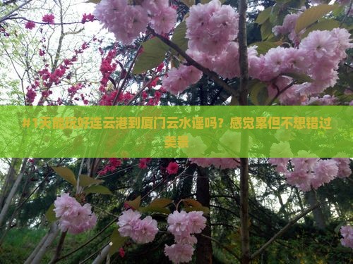 #1天能玩好连云港到厦门云水谣吗？感觉累但不想错过美景