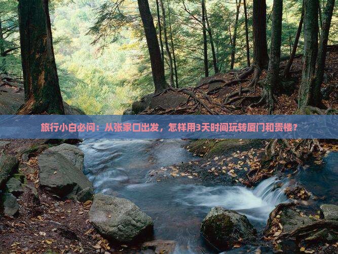 旅行小白必问：从张家口出发，怎样用3天时间玩转厦门和贵楼？