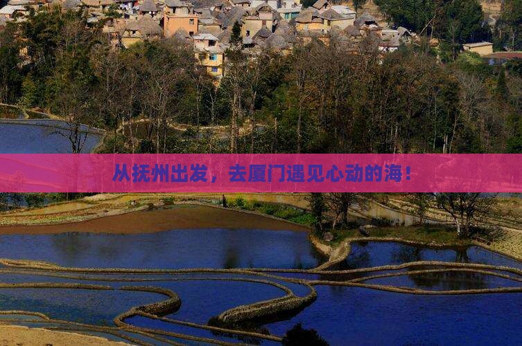 从抚州出发，去厦门遇见心动的海！