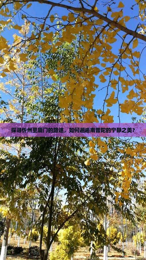 探寻忻州至厦门的路途，如何邂逅南普陀的宁静之美？