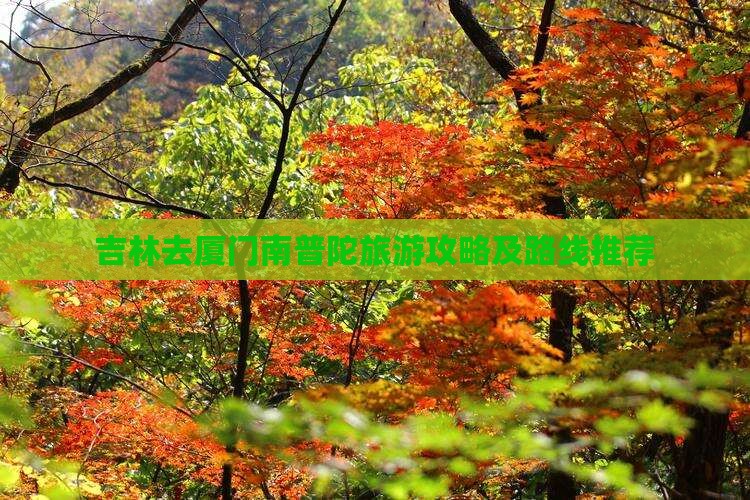 吉林去厦门南普陀旅游攻略及路线推荐
