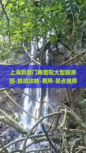 上海到厦门南普陀大型旅游团-旅游攻略-费用-景点推荐-住宿-南普陀寺-旅行社-旅行团线路-国际必去景点信息
