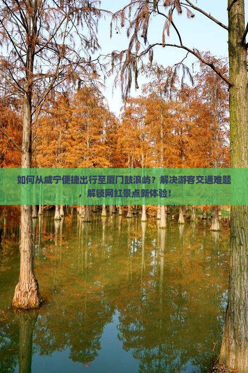 如何从咸宁便捷出行至厦门鼓浪屿？解决游客交通难题，解锁网红景点新体验！