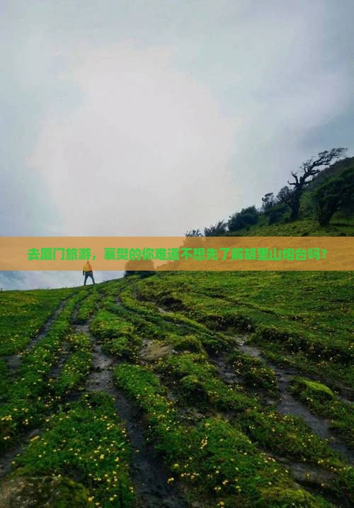 去厦门旅游，襄樊的你难道不想先了解胡里山炮台吗？