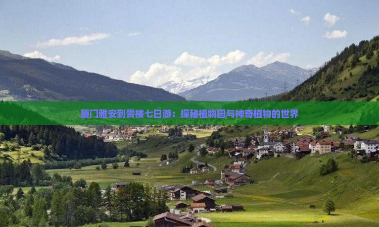 厦门雅安到贵楼七日游：探秘植物园与神奇植物的世界