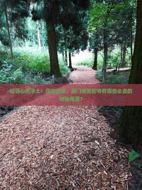 探寻心灵净土：保定出发，厦门南普陀寺有哪些必去的神秘角落？