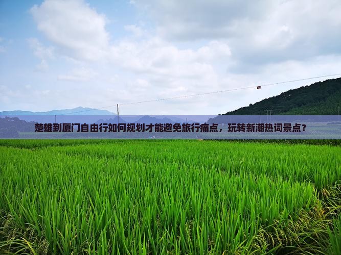 楚雄到厦门自由行如何规划才能避免旅行痛点，玩转新潮热词景点？